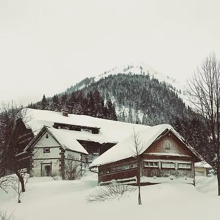 Farmhouse- Koesslergut * Zederhaus