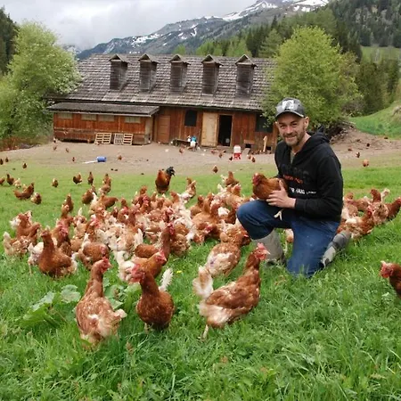 مزرعة للإقامة Farmhouse- Koesslergut زيديرهاوس