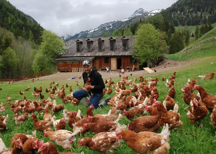 Farmhouse- Kösslergut Farmház